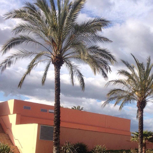 欧美多人做爱a片
